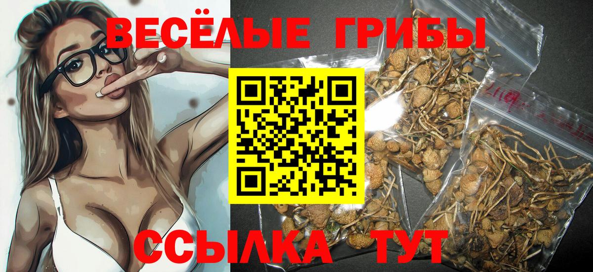 Псилоцибиновые грибы мухоморы Лобня